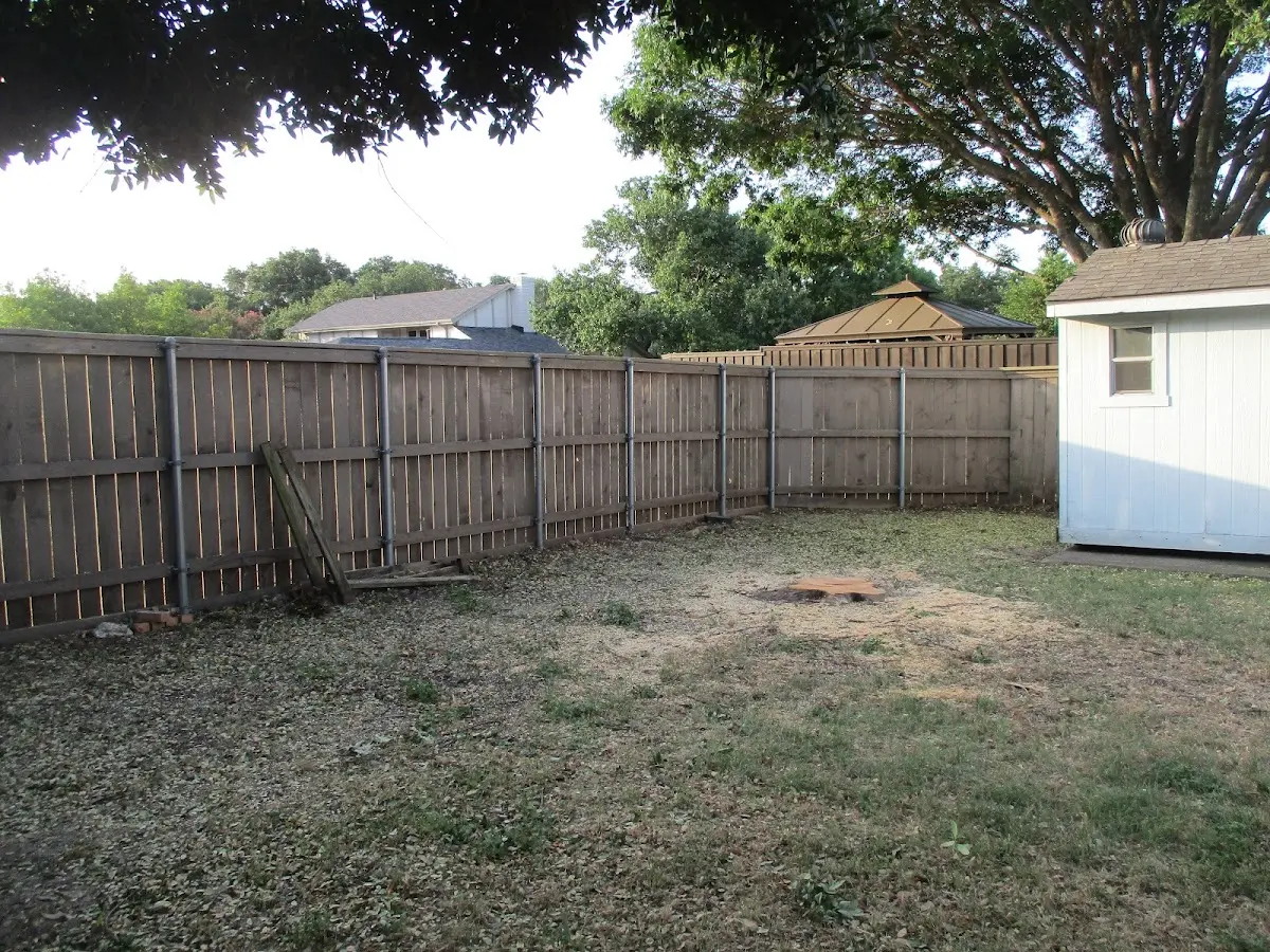 Cleared yard after professional tree removal in Zortman