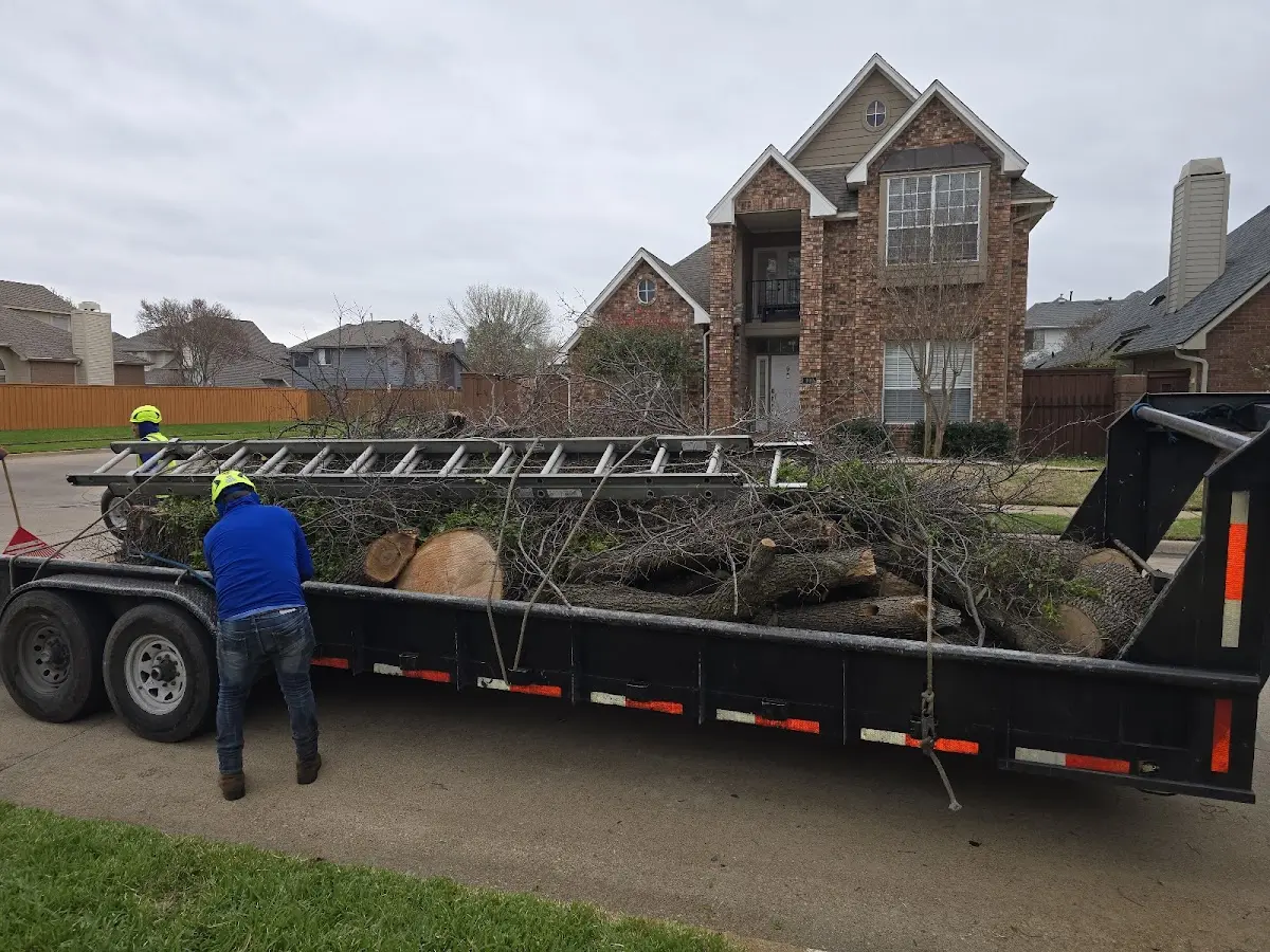 Expert Lot Clearing with proper safety equipment in Zortman